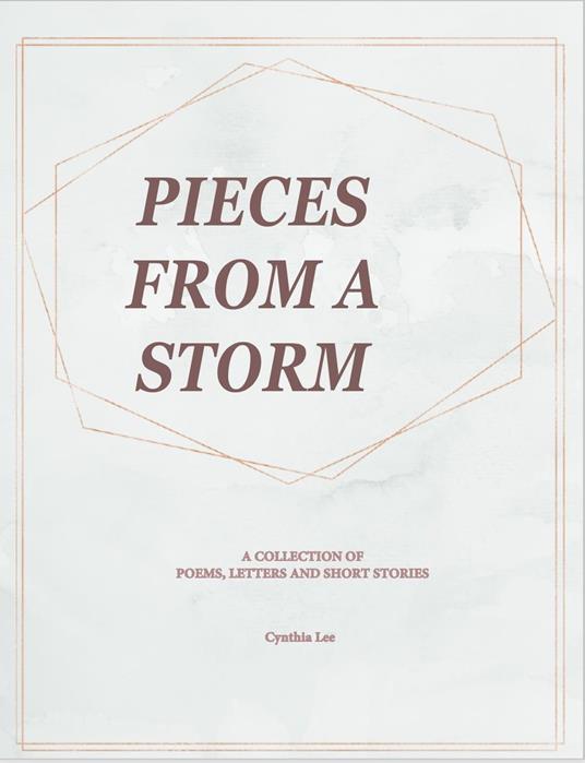 Pieces of a Storm