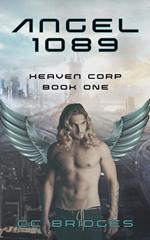 Angel 1089