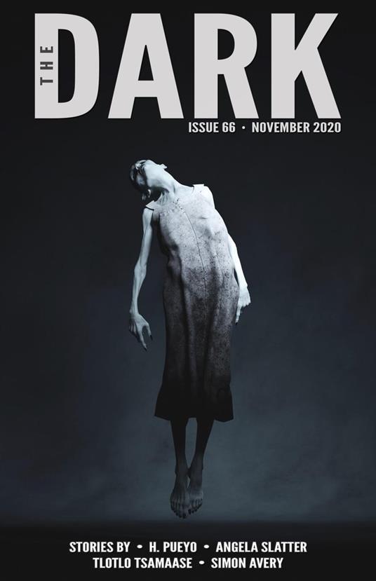 The Dark Issue 66