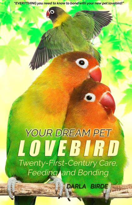 Your Dream Pet Lovebird