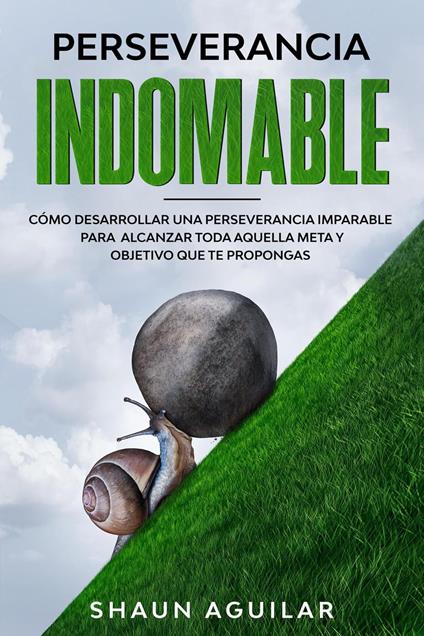 Perseverancia Indomable: Cómo desarrollar una perseverancia imparable para alcanzar toda aquella meta y objetivo que te propongas