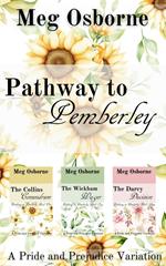 Pathway to Pemberley - A Pride and Prejudice Variation Series