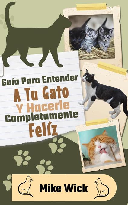 Guía Para Entender A Tu Gato Y Hacerle Completamente Feliz