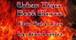 Urban Tiger Book Eleven Burn, Baby, Burn