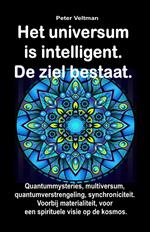 Het universum is intelligent. De ziel bestaat. Quantummysteries, multiversum, quantumverstrengeling, synchroniciteit. Voorbij materialiteit, voor een spirituele visie op de kosmos.