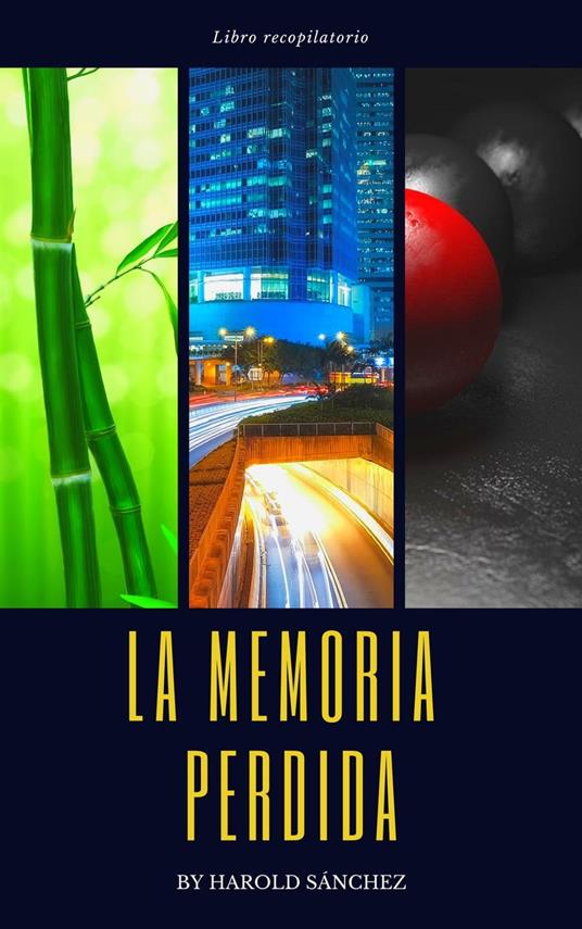 La Memoria Perdida - Libro Recopilatorio - Harold Sanchez - ebook