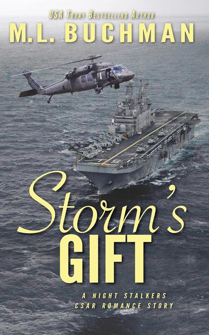 Storm’s Gift: a military romantic suspense story