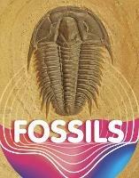 Fossils - Keli Sipperley - cover