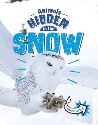 Animals Hidden in the Snow - Jessica Rusick - cover
