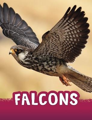 Falcons - Jaclyn Jaycox - cover