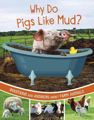 Why Do Pigs Like Mud?: Questions and Answers About Farm Animals - Katherine Rawson - cover