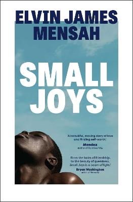 Small Joys: A Buzzfeed 'Amazing New Book You Need to Read ASAP' - Elvin James Mensah - cover