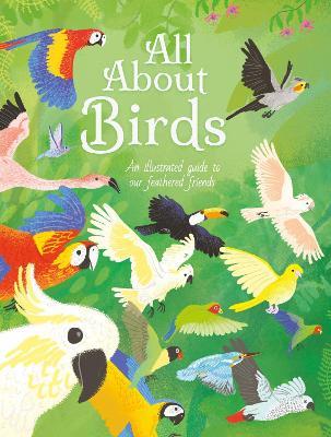 All About Birds: An Illustrated Guide to Our Feathered Friends - Polly Cheeseman - cover