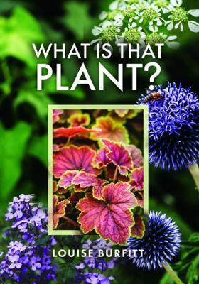 What is that Plant? - Louise Burfitt - cover