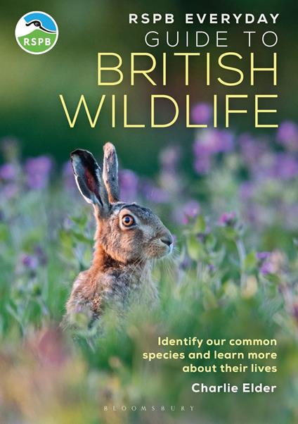 The RSPB Everyday Guide to British Wildlife