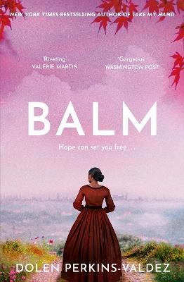 Balm: From the New York Times bestselling author of Take My Hand - Dolen Perkins-Valdez - cover