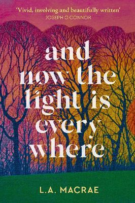 And Now the Light is Everywhere: A stunning debut novel of family secrets and redemption - L.A. MacRae - cover