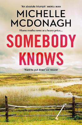 Somebody Knows: A gripping, addictive page-turner about dangerous secrets and the lengths people will go to keep them - Michelle McDonagh - cover