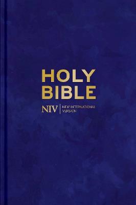 NIV Larger Print Personal Velvet Bible - New International Version - cover