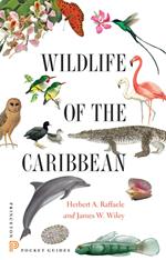 Wildlife of the Caribbean