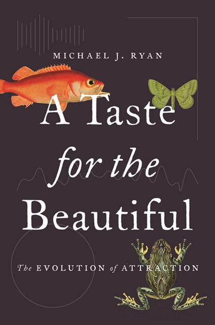 A Taste for the Beautiful