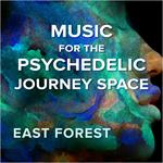 Music for the Psychedelic Journey Space 