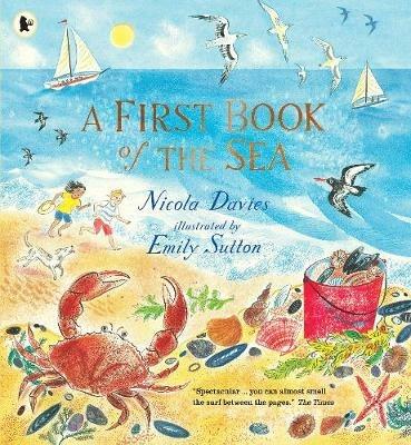 A First Book of the Sea - Nicola Davies - cover