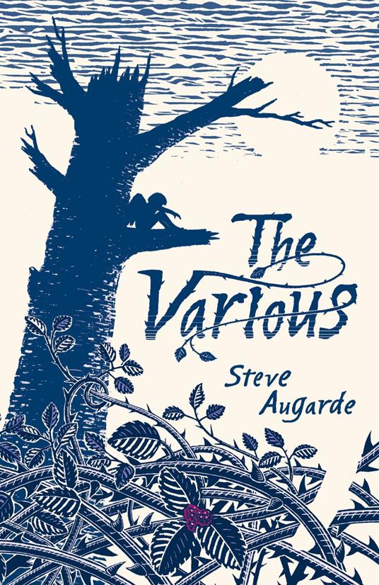 The Various - Steve Augarde - ebook