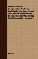 Illustrations Of Comparative Anatomy, Vertebrate And Invertebrate - For The Use Of Students In The Museum Of Zoology And Comparative Anatomy - Various - cover