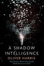 A Shadow Intelligence