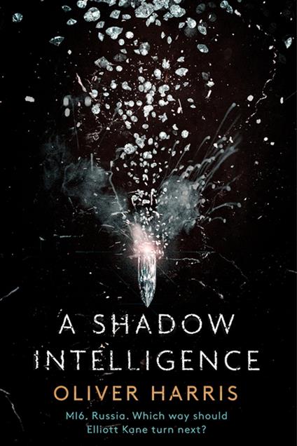 A Shadow Intelligence