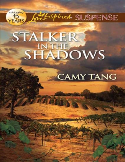 Stalker In The Shadows (Mills & Boon Love Inspired Suspense)