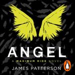 Angel: A Maximum Ride Novel