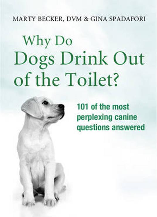 Why Do Dogs Drink Out Of The Toilet?