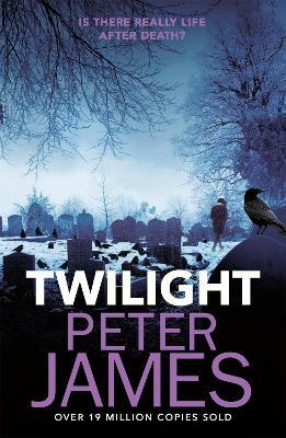 Twilight - Peter James - cover
