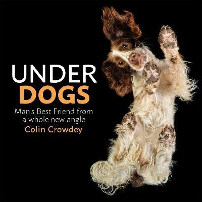 Underdogs - Colin Crowdey - cover