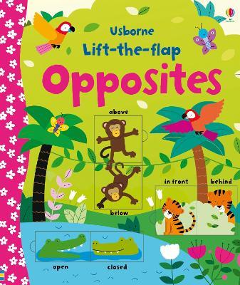 Lift-the-flap Opposites - Felicity Brooks - cover