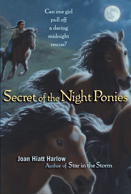 Secret of the Night Ponies - Joan Hiatt Harlow - ebook