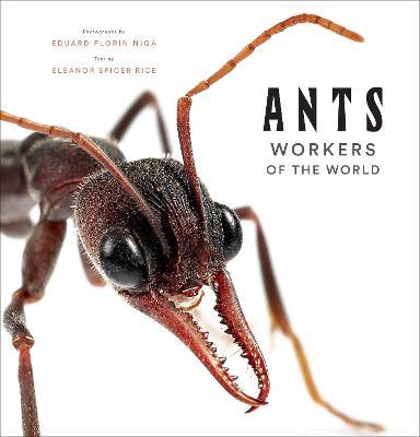 Ants: Workers of the World - Eleanor Spicer Rice - cover