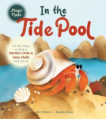 In the Tide Pool: A Magic Flaps Book - Will Millard - cover