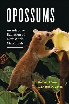 Opossums: An Adaptive Radiation of New World Marsupials - Robert S. Voss,Sharon A. Jansa - cover