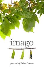 Imago