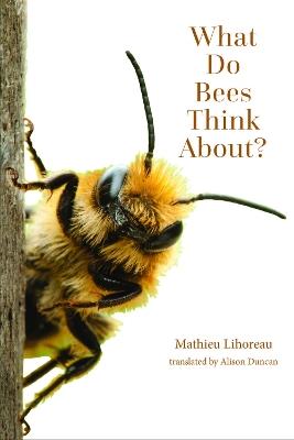What Do Bees Think About? - Mathieu Lihoreau - cover