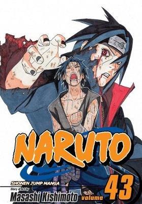 Naruto, Vol. 43 - Masashi Kishimoto - cover
