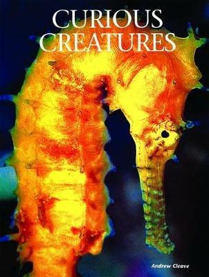 Curious Creatures - Andrew Cleave - cover