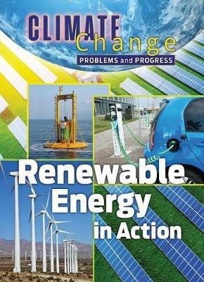 Renewable Energy in Action: Problems and Progress - James Shoals - cover