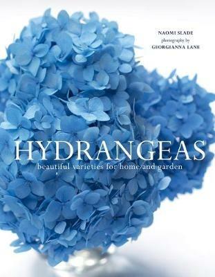 Hydrangeas: Beautiful Varieties for Home and Garden - Naomi Slade - cover