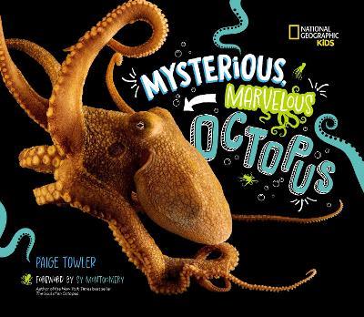 Mysterious, Marvelous Octopus - Paige Towler - cover