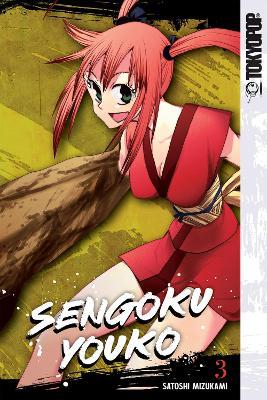 Sengoku Youko, Volume 3 - Satoshi Mizukami - cover