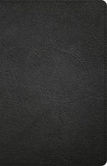 NASB Large Print Thinline Bible, Black Premium Goatskin